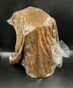 yz@HY MTCY KPW NK^ JugV Y oNeA