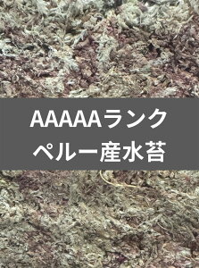 yz@y12Lz nCO[h y[YAAAAAN 150g KPW NK^ JugV  | Ǘ YZbg