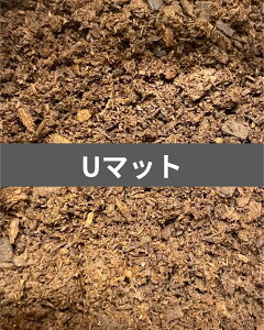 yz U}bg 5L RTN lXȗcɁI ~}NK^cNK^ɂI KPW NK^ JugV