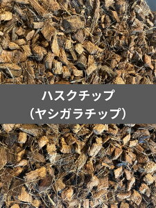 yz@ nXN`bv 10L VK`bv LʁI VRfށI KPW NK^ JugV   Jf T\ ^` ঒