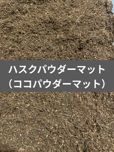 yz@nXNpE_[}bg 10L RRpE_[ VK LʁI VRfށI KPW NK^ JugV   Jf T\ ^` ঒