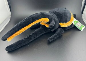 yz 킭킭} lv`[IIJugʂݒ KPW NK^ JugV