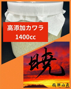 yz ŃV[Y YJ 1400cc ێ cɁI ^oёI KPW NK^ JugV