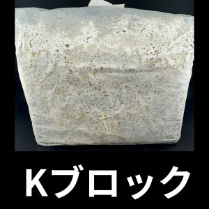 yz KubN IIq^P 3600cc HcYi100gpI NK^ɍœKIKPW NK^ JugV