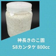 【送料無料】 S8カンタケ 800cc カワラタケ オオクワといえばこれ！ 幼虫飼育に！ 大型作出実績多数！ KP…