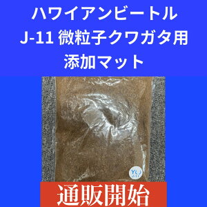 yz J-11 qNK^pY}bg 2L KPW NK^ JugV nCAr[g