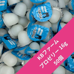 yz y50z v[[ 16g [[ KBt@[ ^pNIu[hɍœKI u[_[pI KPW NK^ JugV ws ŒZŒZ yXIXXz