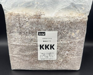yz KPWIWiYJuKKKigvKjv 3500cc ێ cɁI ^oёI KPW NK^ JugV