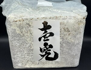 yz y닆zIIq^P ubN 3500cc ێ cɁI \ڎwI g₷I KPW NK^ JugV