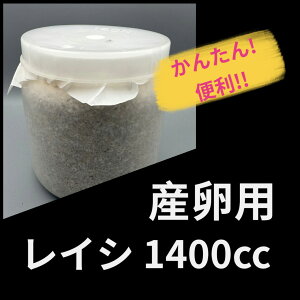 yz YpCV 1400cci}l^Pjێ ^hDX̎YɁI J^YI KPW NK^ JugV