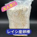 【送料無料】　レイシ産卵棒 タランドゥスの簡単セット！オウゴンオニにも！ KPW クワガタ カブトムシ