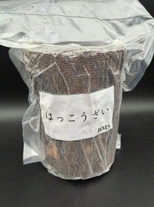 yz@͂yBMSz KPW NK^ JugV Y EbfB JY~AG oNeA