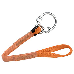 ^C^ 茳Xgbv STJ y4510620808499z