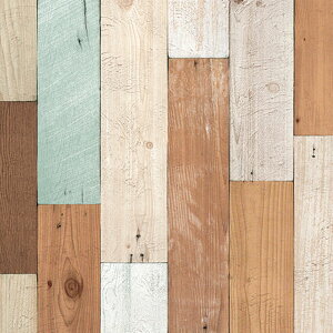 ǎ ؖ CNV[g y Vvؖڂ̕ǎV[ zy ȕǎ6mZbg z ǎ V[ ͂ NX ̂t CNV[g EH[XebJ[ ANZgNX JbeB