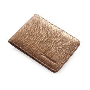 pXP[X {v  ܂ J[hP[X J[h |CgJ[h fB[X Y J[hz_[ jp h f@ NWbgJ[h LbVJ[h  PASMO 