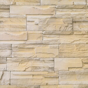 ǎ V[ K y K̓\Ă͂ǎV[ zy ȕǎ15mZbg z K Ǘp K ̂t Ǘp CNV[g EH[XebJ[ ANZgNX Jbe