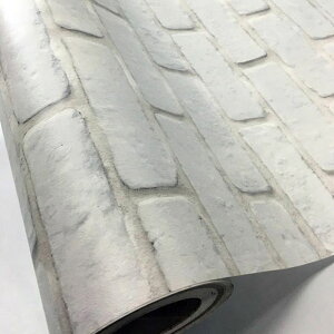 ǎ K ͂ V[ ̂t Ǘp ؖ NX ؖڒ S20 1mP ؖڕ CNV[g EH[XebJ[ ANZgNX JbeBOV[g EH[V[g Aǎ 