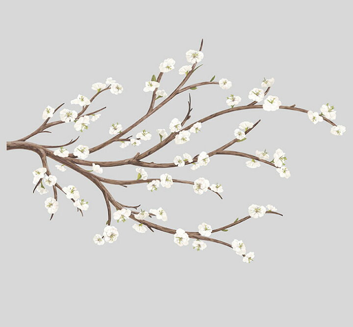 楽天市場 ウォールステッカー 植物 花 3dデコレーション ホワイトブロッサム ウィズ 3d装飾 ルームメイツ Roommates ウォールステッカー 北欧 ウォールステッカー 植物 木 ウォールステッカー トイレ ウォールステッカー アルファベット 子供部屋 ケイ ララ 楽天市場店 楽天市場 ウォールステッカー 植物 花 3dデコレーション ホワイトブロッサム ウィズ 3d装飾 ルームメイツ Roommates ウォールステッカー 北欧 ウォールステッカー 植物 木 ウォールステッカー トイレ ウォールステッカー アルファベット 子供部屋 ケイ ララ 楽天市場店