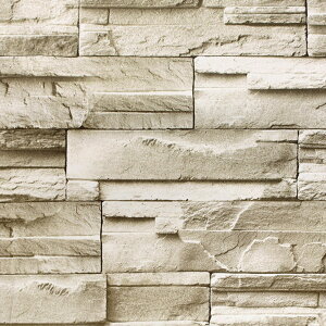 ǎ V[ CNV[g K ؖ ԕ RN[g k  10mP ͂ǎ ׂ ubN  zCg  O[ uE x[W ANZgNX ̂t