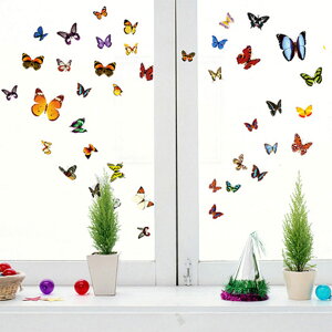 EH[XebJ[  Jt o^tC AQn \Ă͂ XebJ[ [Jt o^tC] ؂₩ fG LC _CjO fR[V V[ k C