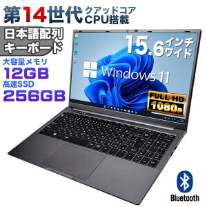 yViz14NAbhRACPU Windows11 m[gp\R officet 15.6C`Cht tHD Intel TwinLake N150 12GB LPDDR5 ViSSD256GB NVMe PCIe3.0 USB3.0 HDMI {zL[{[hyCM15z