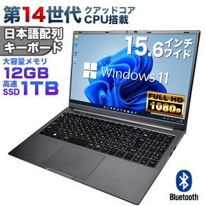 yViz14NAbhRACPU Windows11 m[gp\R officet 15.6C`Cht tHD Intel TwinLake N150 12GB LPDDR5 ViSSD1TB NVMe PCIe3.0 USB3.0 HDMI {zL[{[hyCM15z