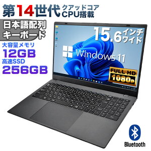 yViz14NAbhRACPU Windows11 m[gp\R officet 15.6C`Cht tHD Intel TwinLake N150 12GB ViSSD256GB NVMe PCIe3.0 USB3.0 HDMI {zL[{[hyNC15z