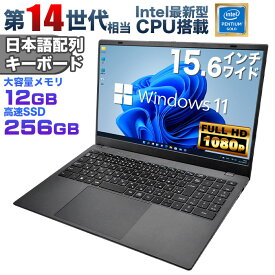 【新品】Windows11 ノートパソコン office付き 15.6インチワイド液晶 フルHD Intel Pentium GOLD 6500Y メモリ12GB 新品SSD256GB NVMe PCIe3.0 USB3.0 HDMI 日本語配列キーボード【NC15】