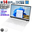 【新品】Windows11 ノートパソコン office付き 15.6インチワイド液晶 フルHD Intel Pentium GOLD 6500Y メモリ12GB 新品SSD256GB NVMe PCIe3.0 USB3.0 HDMI 日本語配列キーボード【NC15】