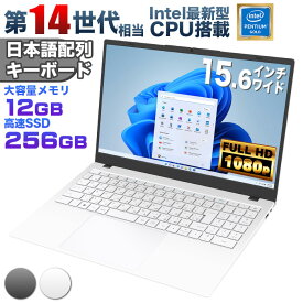 【新品】Windows11 ノートパソコン office付き 15.6インチワイド液晶 フルHD Intel Pentium GOLD 6500Y メモリ12GB 新品SSD256GB USB3.0 HDMI 日本語配列キーボード【NC15】