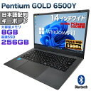 【新品】14インチワイド液晶 フルHD ノートパソコン office付き Intel Pentium GOLD 6500Y メモリ8GB NVMe PCIe3.0 SSD256GB USB3.0 HDMI WEBカメラ Bluetooth 無線LAN Windows11 JIS規格 日本語配列キーボード ノートPC win11初心者本付 【NC14J】