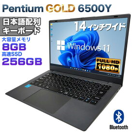 【新品】14インチワイド液晶 フルHD ノートパソコン office付き Intel Pentium GOLD 6500Y メモリ8GB M.2 SATA SSD256GB USB3.0 HDMI WEBカメラ Bluetooth 無線LAN Windows11 JIS規格 日本語配列キーボード ノートPC win11初心者本付 【NC14J】
