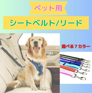 ybgV[gxg p V[g 㕔Ȍp^V[gxgƃhCuAUAs̍ۂɕK{̃ACeI