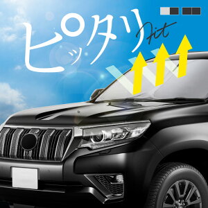 g^ hN[U[ vh 150n TVF[h  tg tgKX tgVF[h Ռ fM ډB  悯 VF[h ܂肽 ^]  p  ANZT