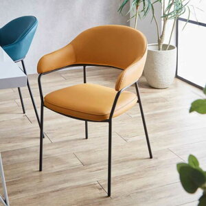 y5%OFFN[|z_CjO `FA  ֎q 2rZbg ʍ 43cm `FA[ u[ CG[ v ubN r X`[ Sn wt n PU It yz