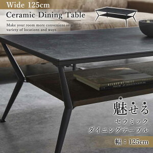 3Axy10%OFFN[|zZ~bNe[u  _CjOe[u Z~bNV He[u e[u O[ rOe[u X`[r Cދr 125cm 6lp e[uP