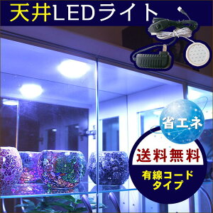 y10%OFFN[|zLEDCg@Cg@ʁ@RNVP[Xp@RNVP[X@LED@ǉIvV@VLEDCg@ V ^@@tBMA