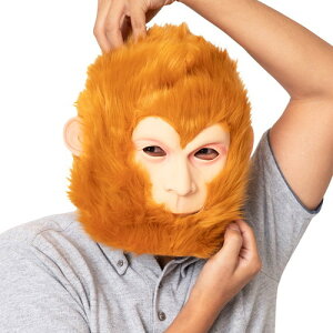 o[}XNuTv(890751)@RXv@@@Ԃ