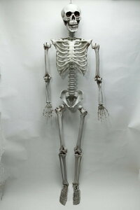 g[ (vX`bN) (720465)KCRc