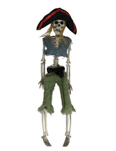 nMOXPg CK[ 40cm i469289jy XJ hN u ݕ | KCRc [ ݂ ݂蕨 z[nMO ݂艺 nEB G z