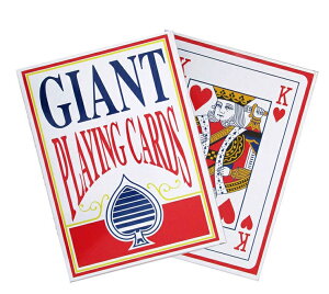 27×20cmrbOgv (傫ȃgv) i474399jy p[eB[pi ߋ I` Cxgpi p[eB[ObY p[eB[Q[ J[hQ[ ObY  V z