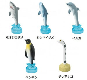 ZgNtg yX^hi zIWUE WxCUECJE yME`AiSj SR-5781A SR-5782 ASR-5783ASR-5784ASR-5785@yX^h+