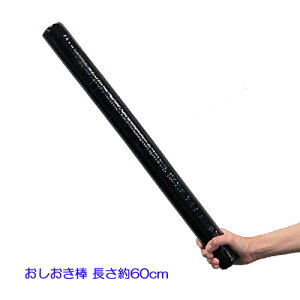 _ 60cm 474597uAAEg?IvQ[ɍœKIRXv +