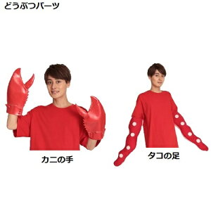 ǂԂp[c(Jj̎A^Ȓ)yK[J[iz(RXvECxg)