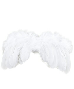 Vg̉H (zCg) STCY@ 471671@nEB@RXv@ߑ +