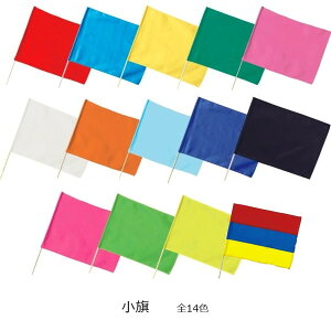 (//////IW/F/Rogu[//uCG[/uO[/usN/ԁEE) tbO  ^ ̈ w Q[ Cxg  U A[ebN i1