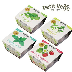 v`xWiChXgx[/yp[~g/pN`[/bR)A[ebN  Lbg ͔|Lbg   ƒ͔|  y +