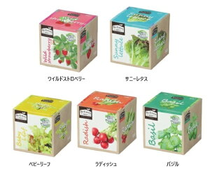 GR͔|Lbg Re:Green (O[) iChXgx[ Tj[^X fBbV xr[[t oWjA[ebN  Lbg ͔|Lbg   ƒ͔|  y