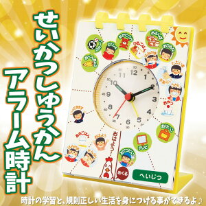 イA[v 007967(079677) XPW[Ǘ wK  v A[ A[ebN+