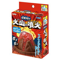 楽天市場 てこ 実験 キットの通販